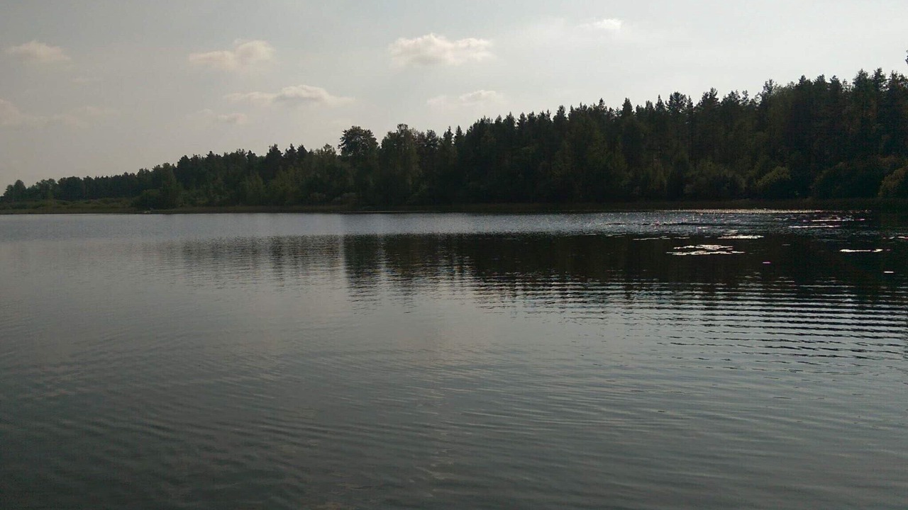 Photo of Others in Morlunda