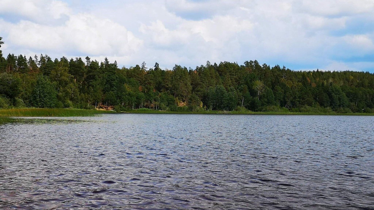 Photo of Others in Morlunda