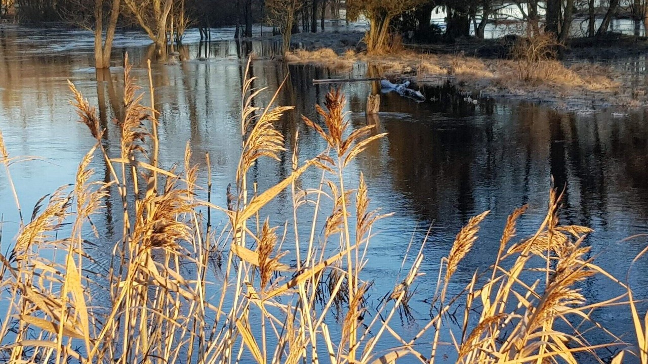 Photo of Others in Morlunda