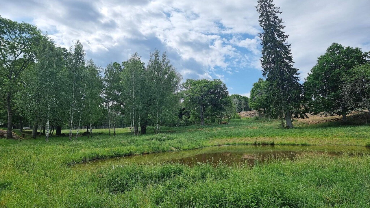 Photo of Others in Morlunda