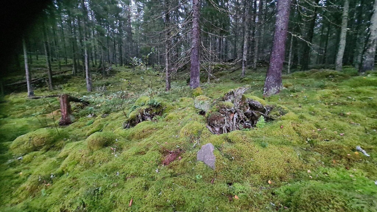 Photo of Others in Aplared