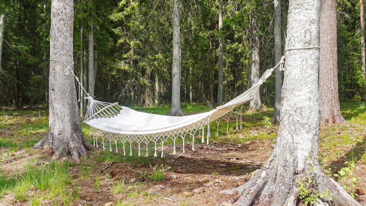 Photo of Outdoor in Grisslehamn