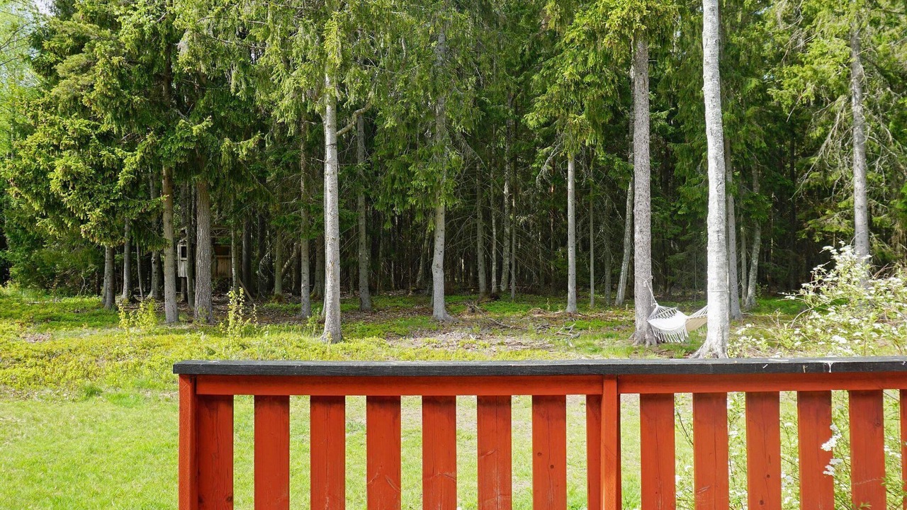 Photo of Outdoor in Grisslehamn