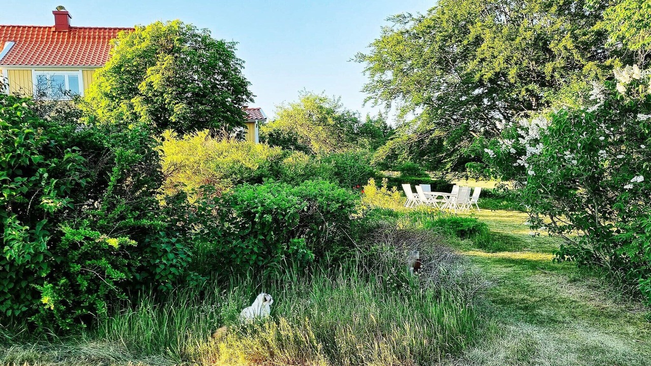 Photo of Outdoor in Moheda