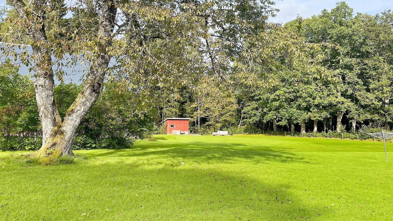 Photo of Outdoor in Arbol