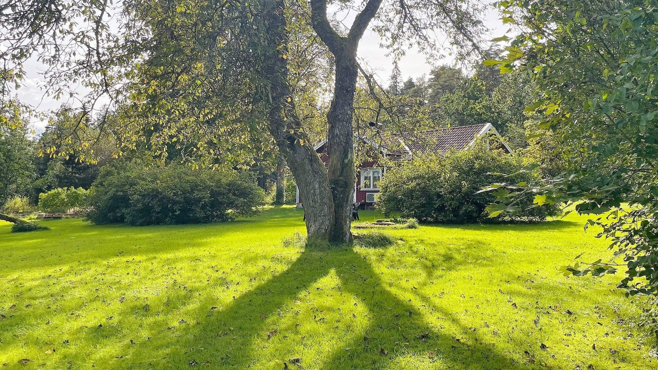 Photo of Outdoor in Arbol