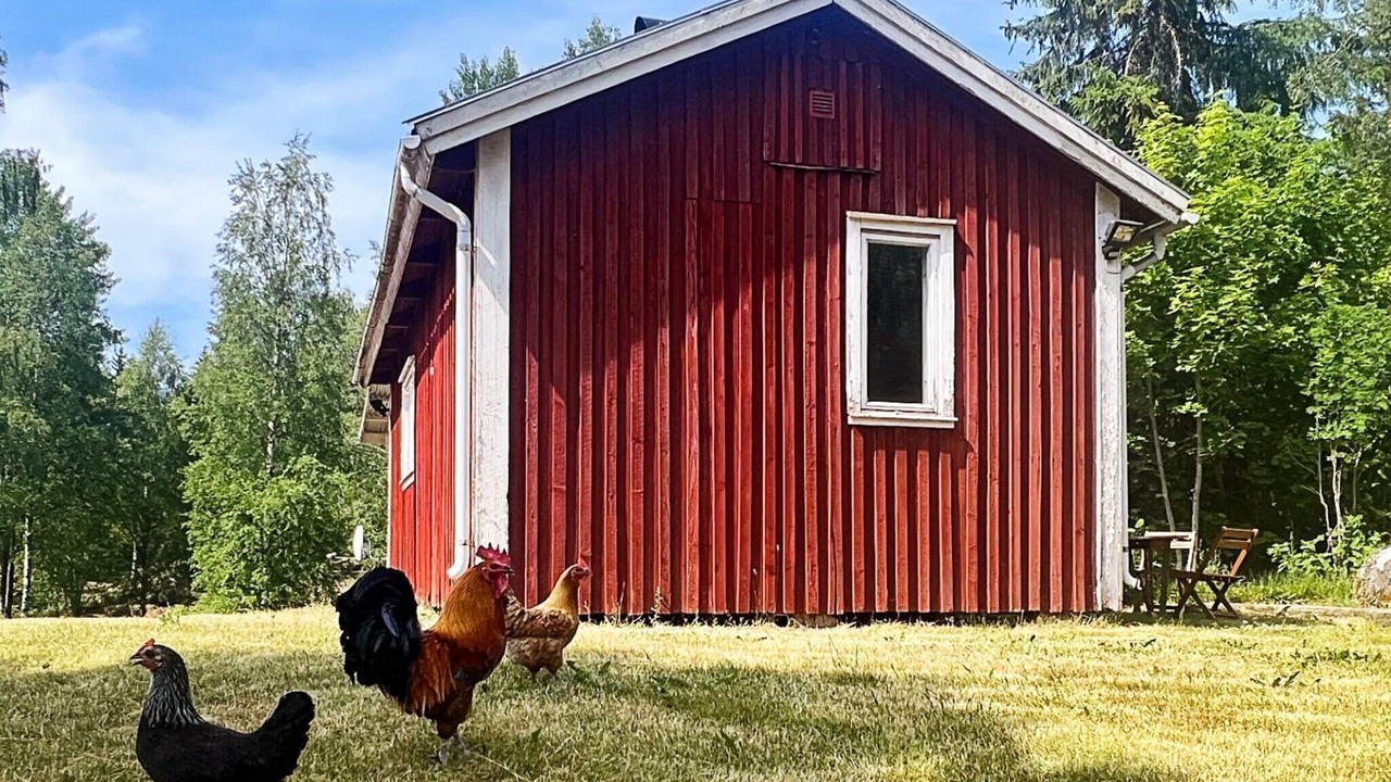 Photo of Outdoor in Molkom