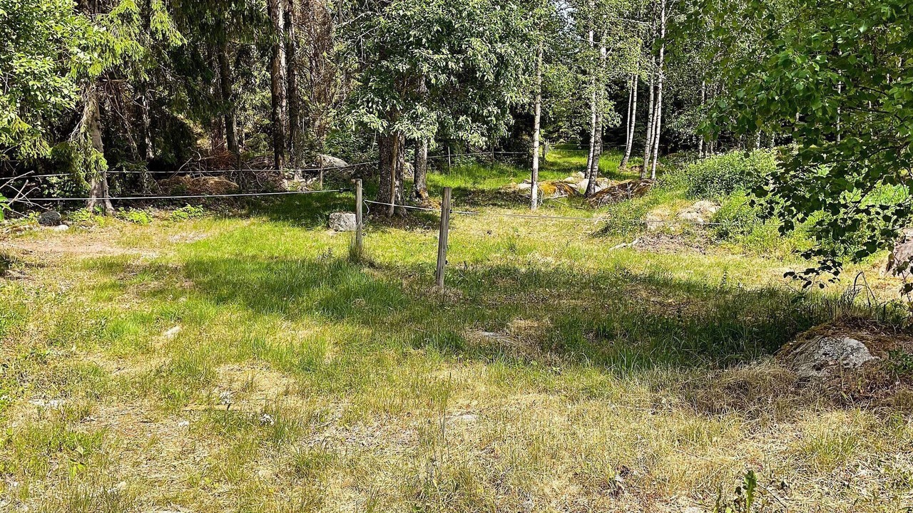 Photo of Outdoor in Molkom