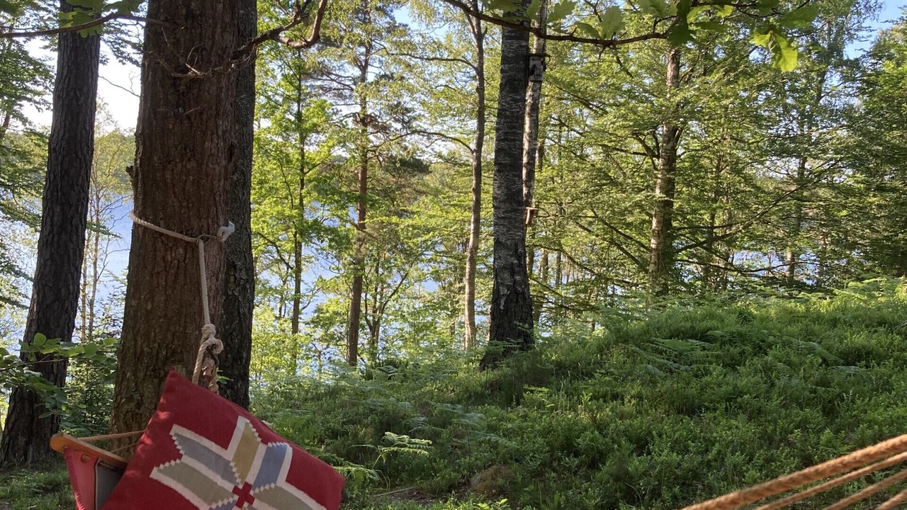 Photo of Outdoor in Roke
