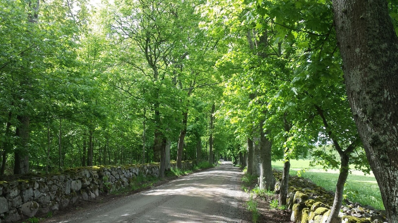 Photo of Outdoor in Alem