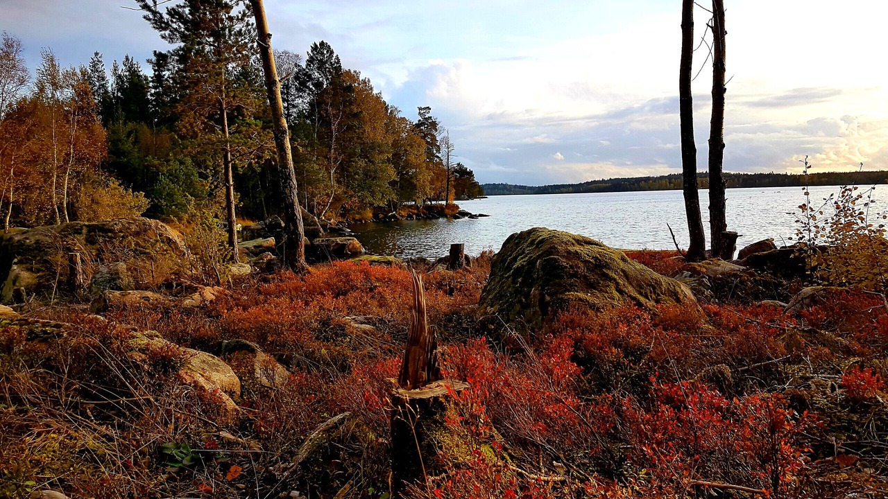 Photo of Others in Klavrestrom