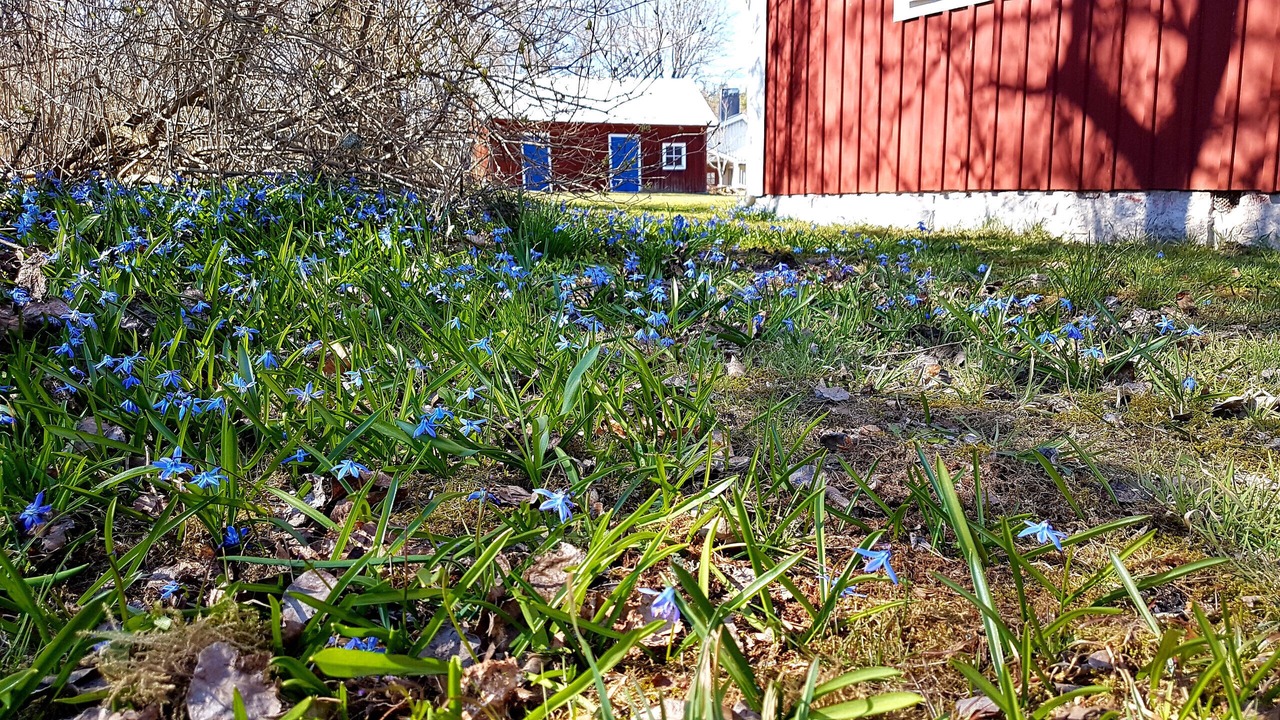 Photo of Others in Klavrestrom