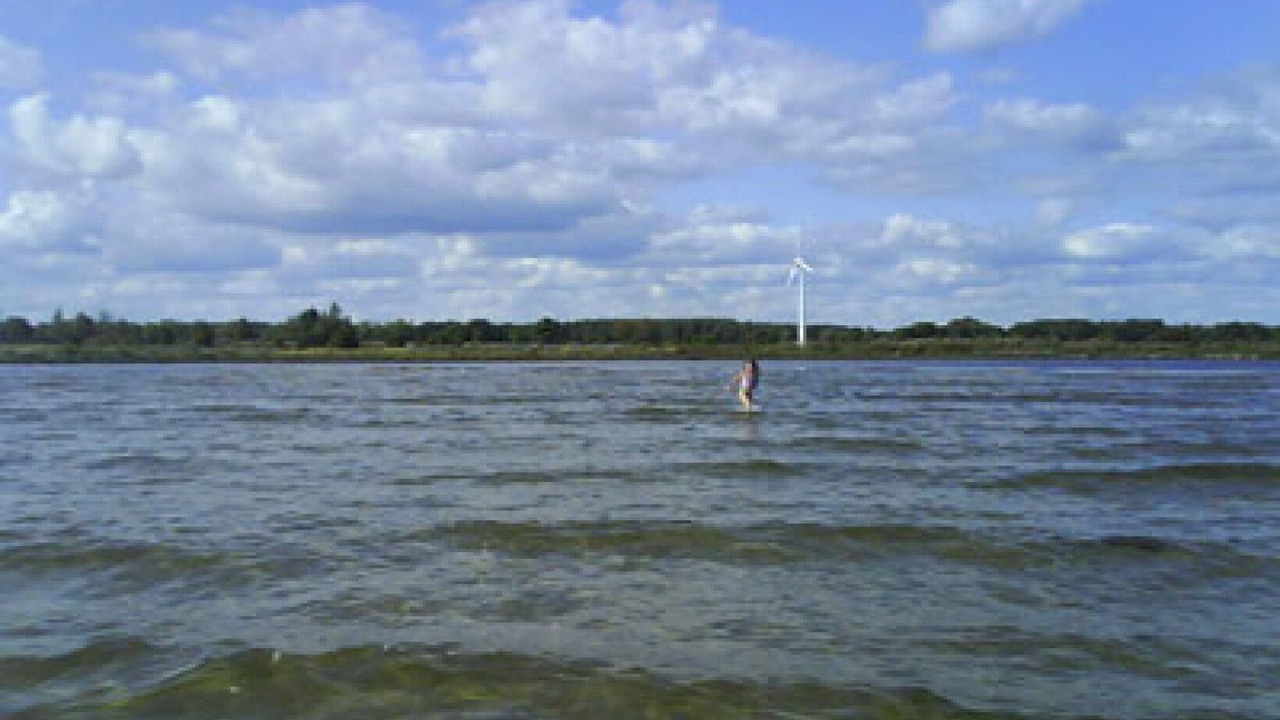 Photo of Others in Orranas