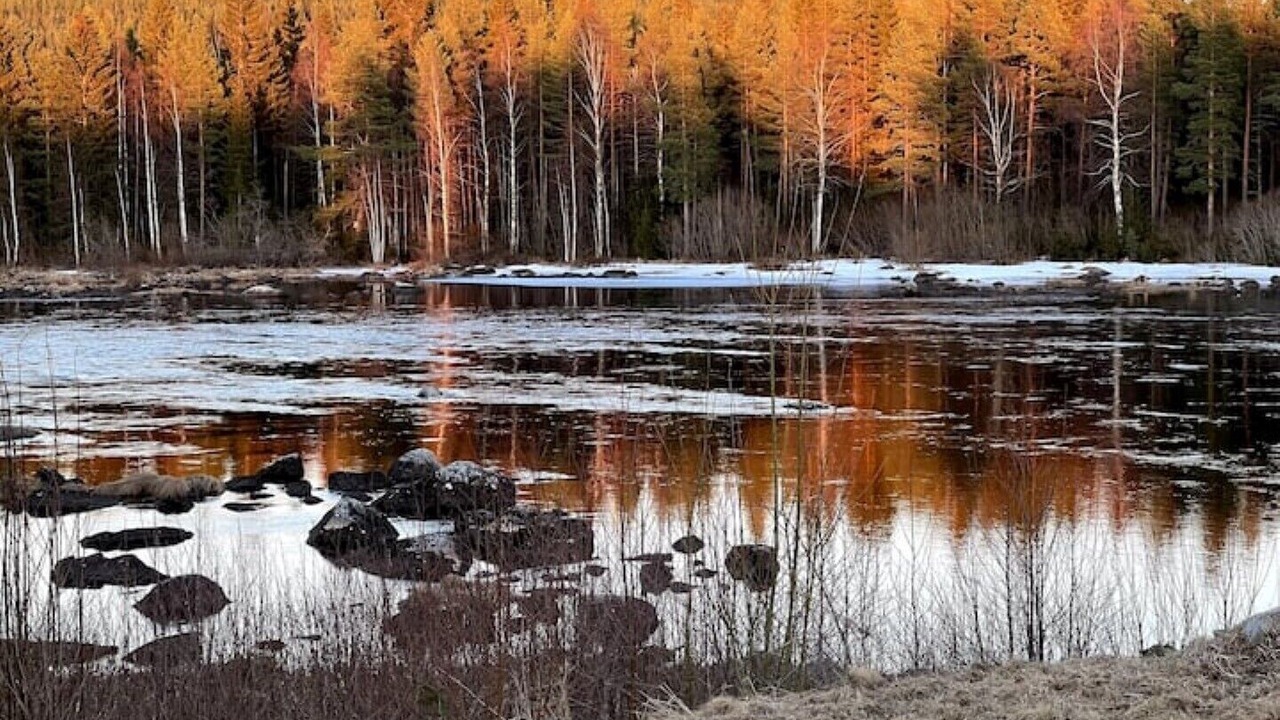 Photo of Outdoor in Ostavall