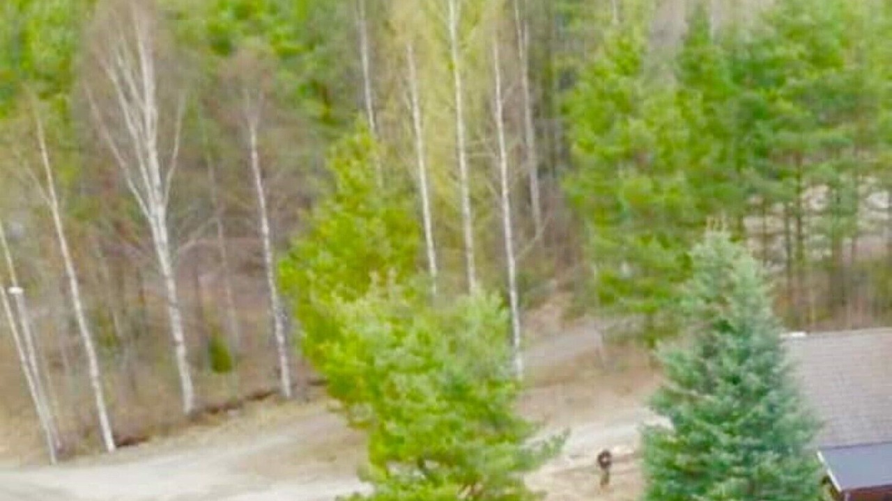 Photo of Outdoor in Ostavall