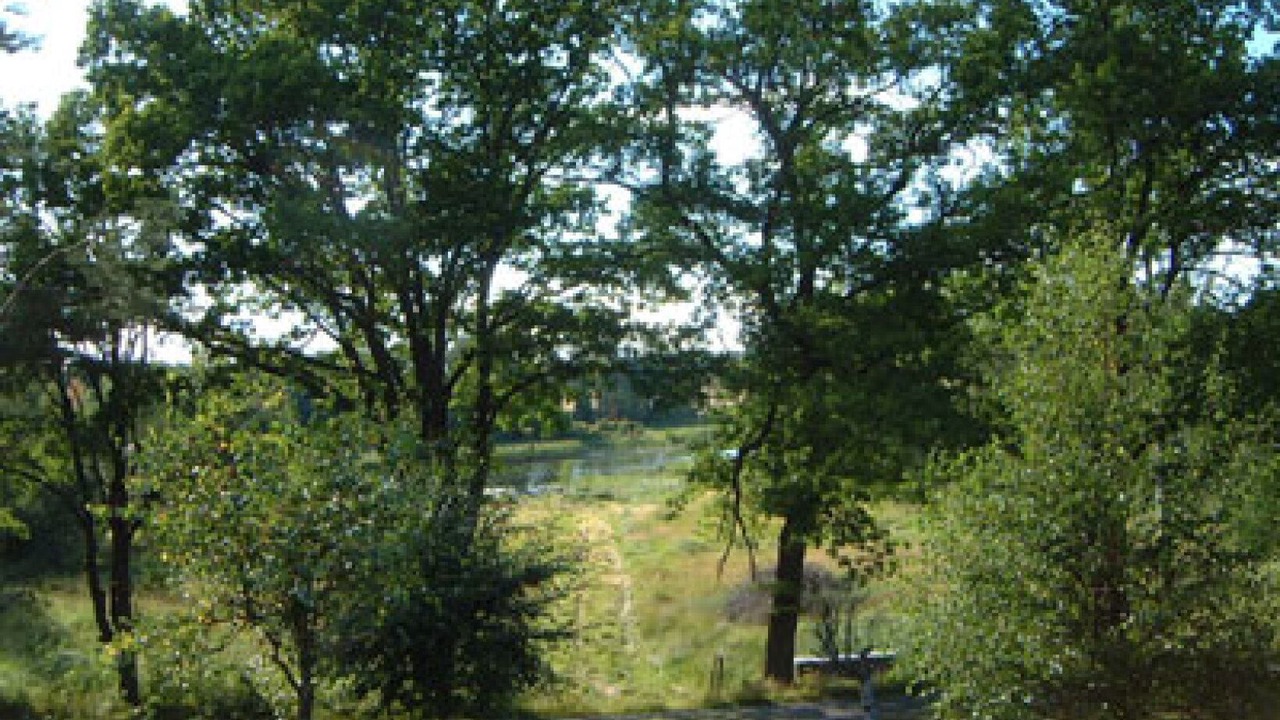 Photo of Outdoor in Saffle Municipality