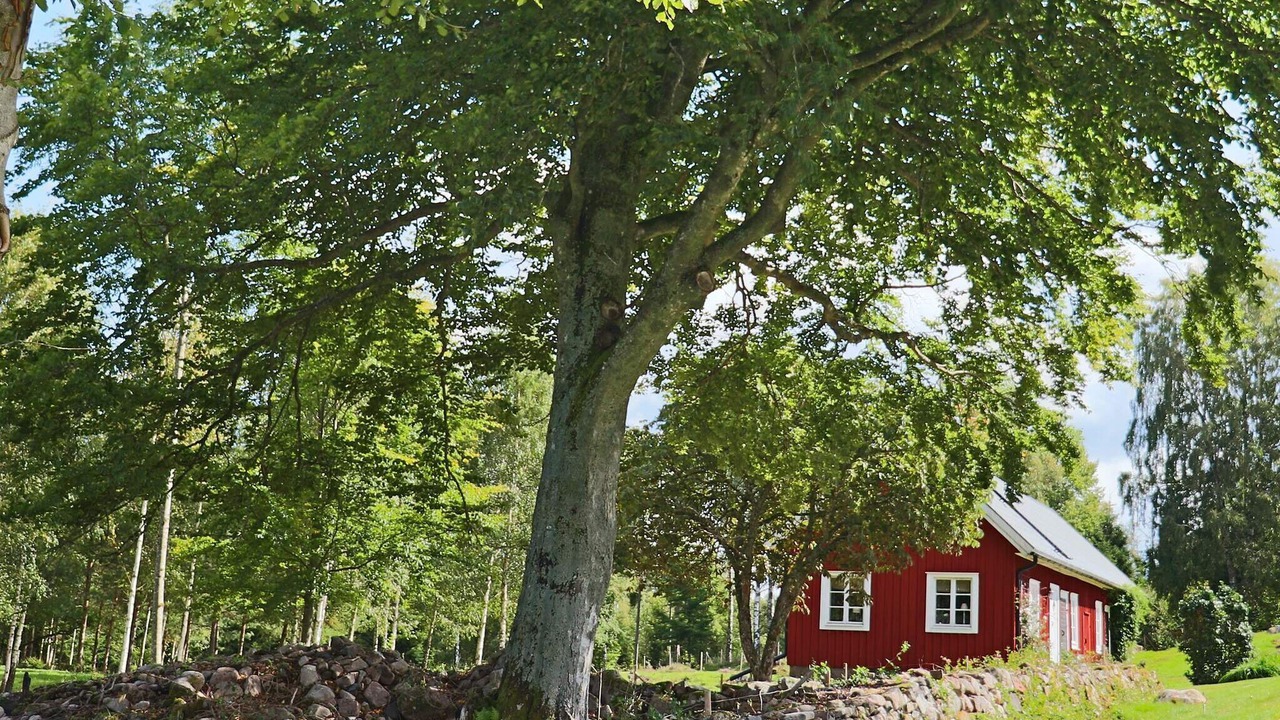 Photo of Outdoor in Unnaryd