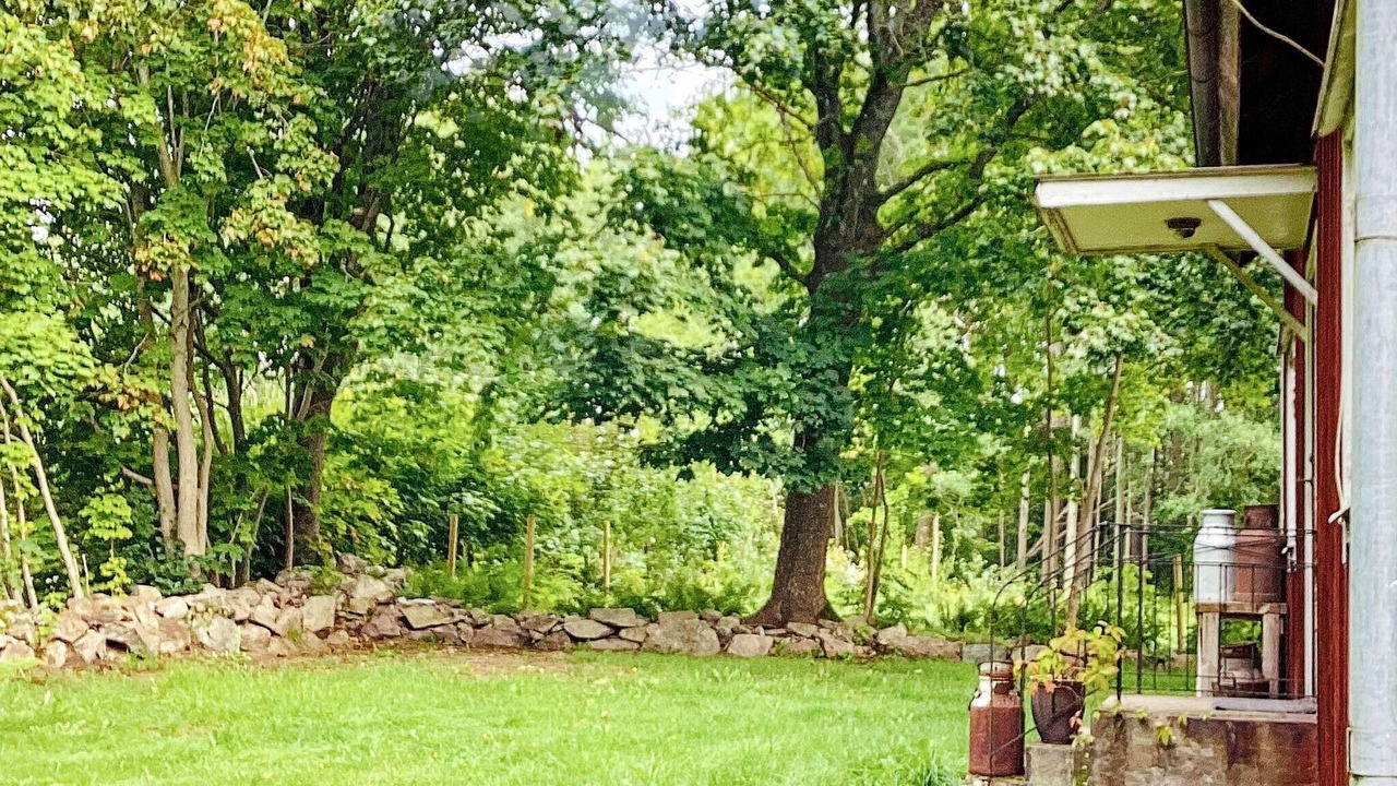 Photo of Outdoor in Mariestad