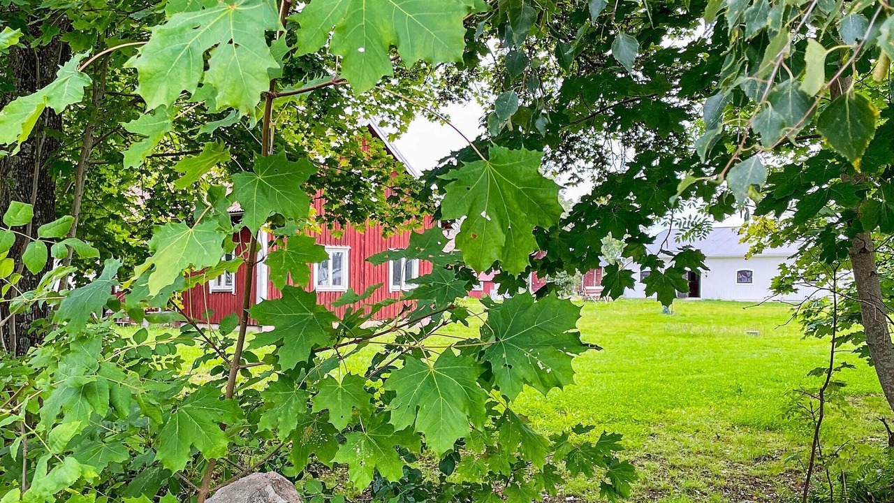 Photo of Outdoor in Mariestad