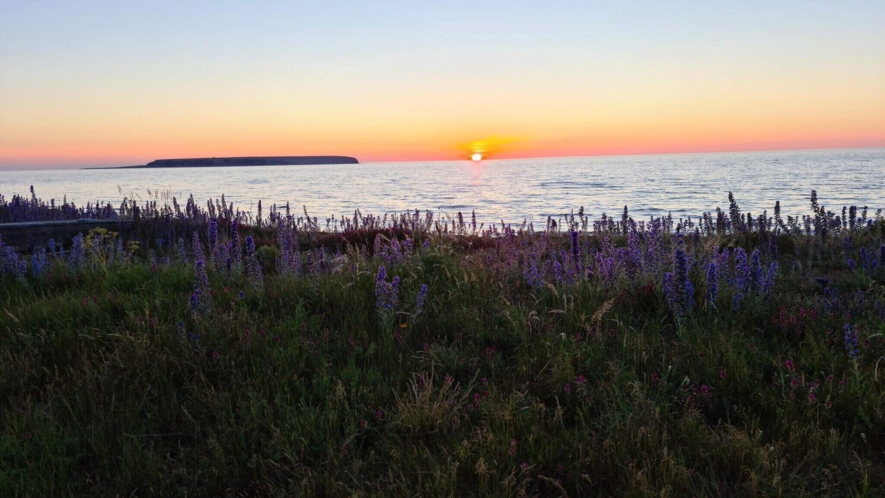 Photo of Others in Klintehamn