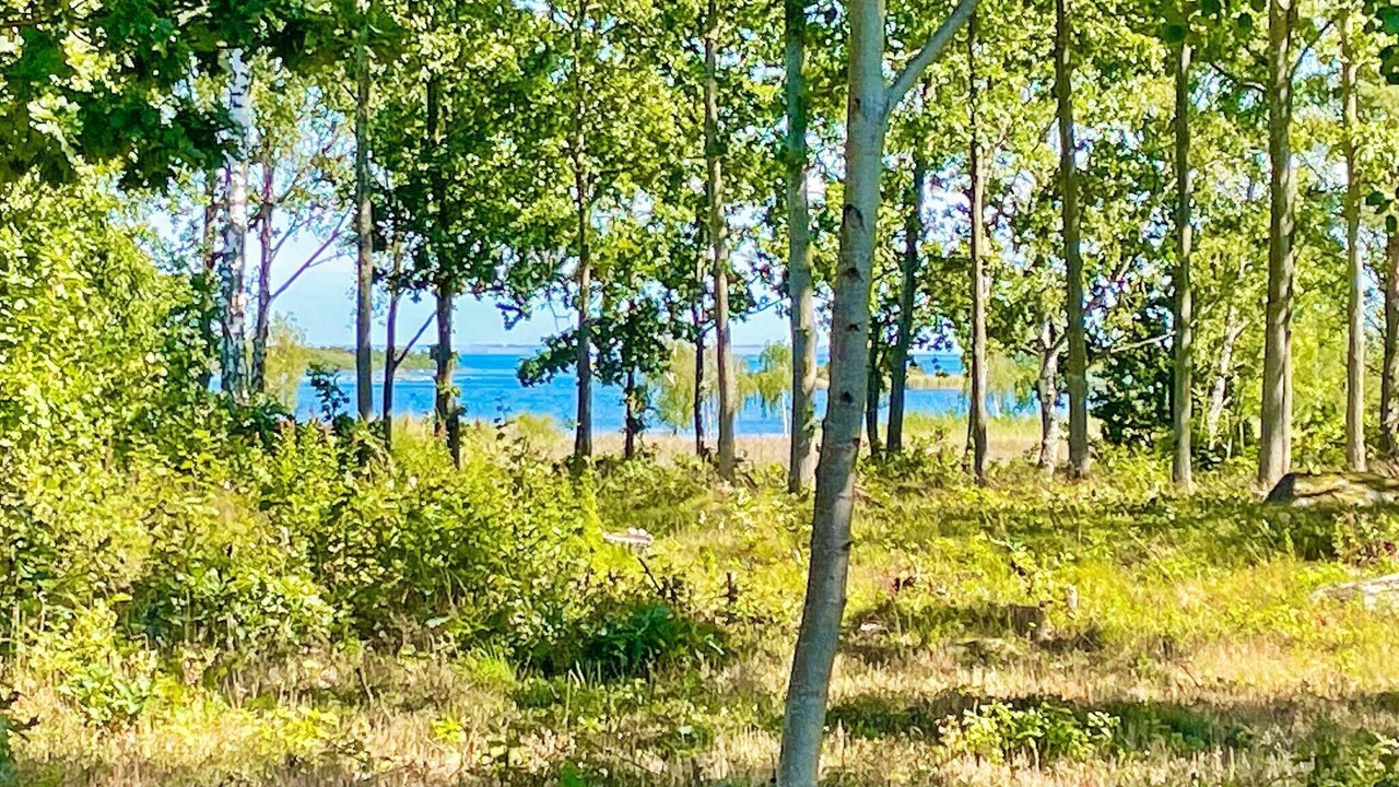 Photo of Others in Bergkvara