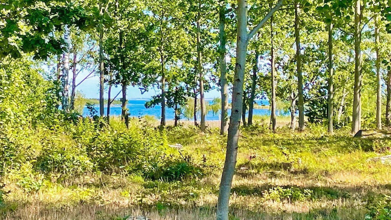 Photo of Others in Bergkvara