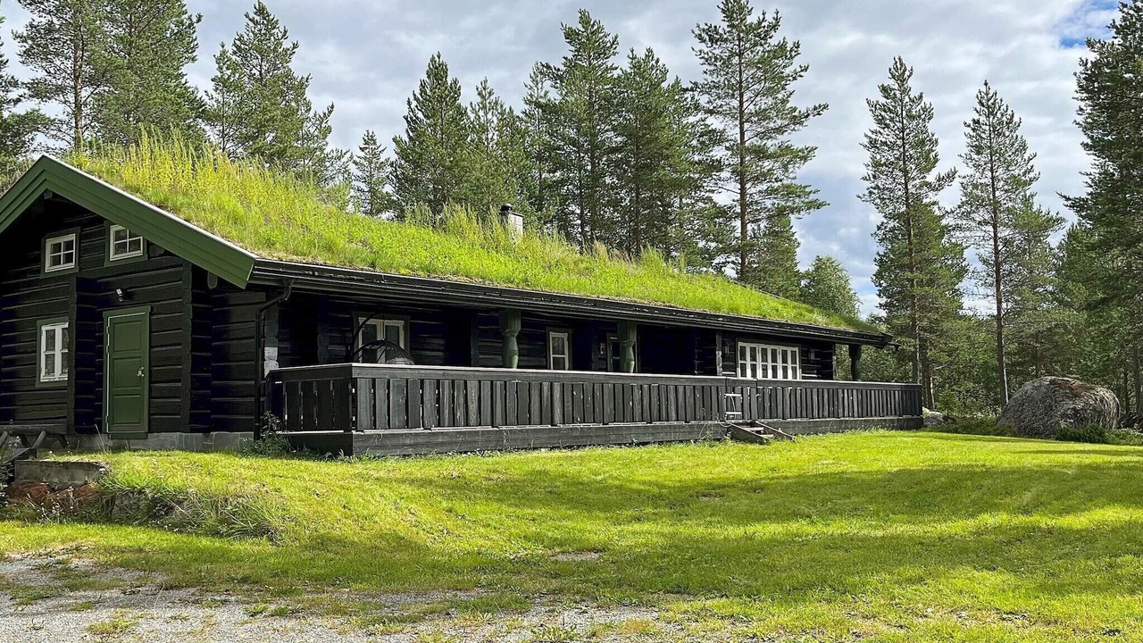 Photo of Outdoor in Gol Municipality