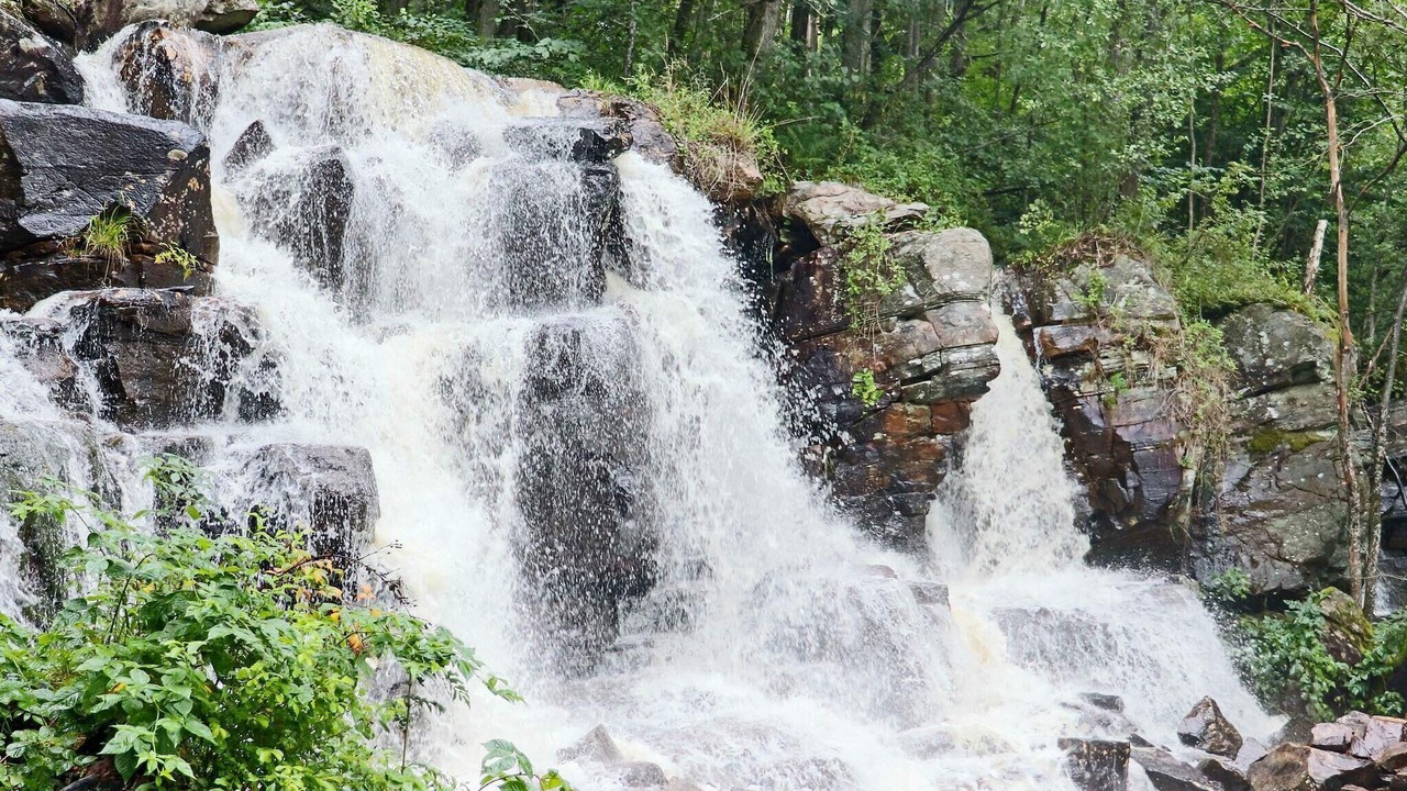 Photo of Others in Fjaras