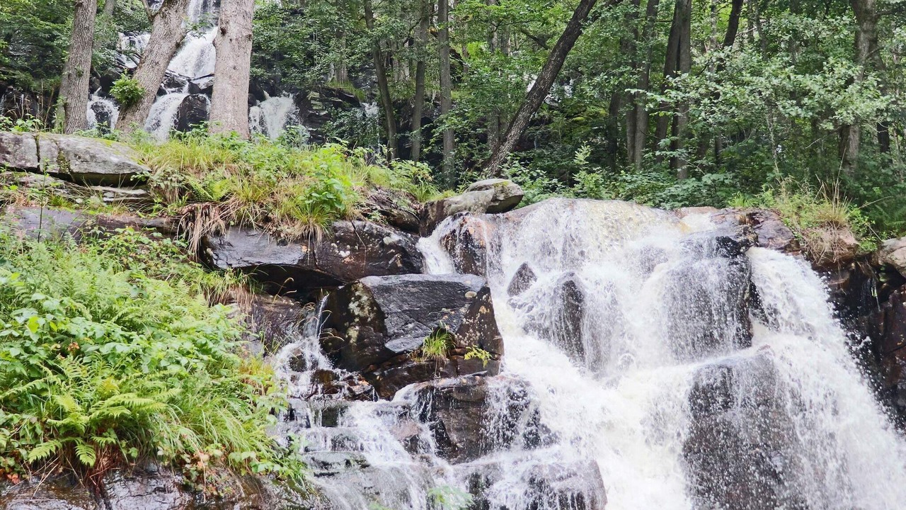 Photo of Outdoor in Fjaras