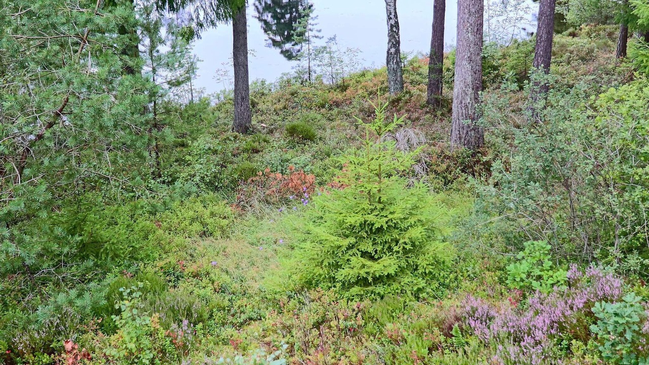 Photo of Outdoor in Fjaras
