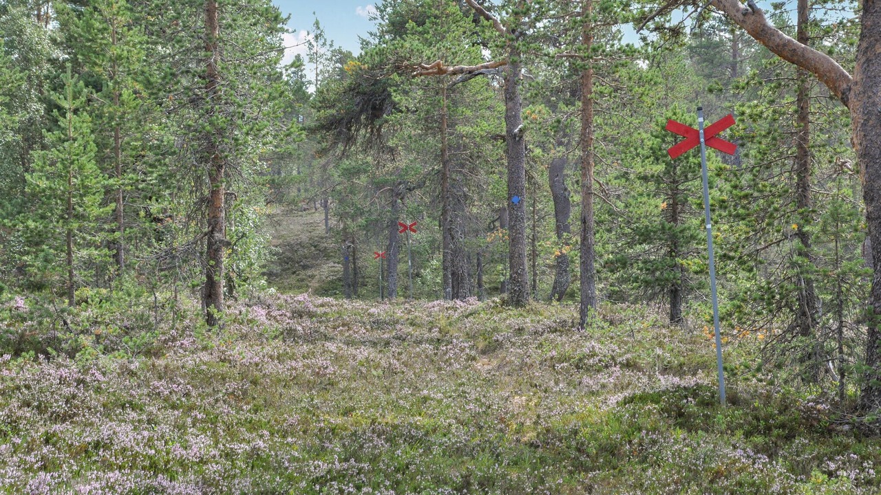 Photo of Others in Stoten