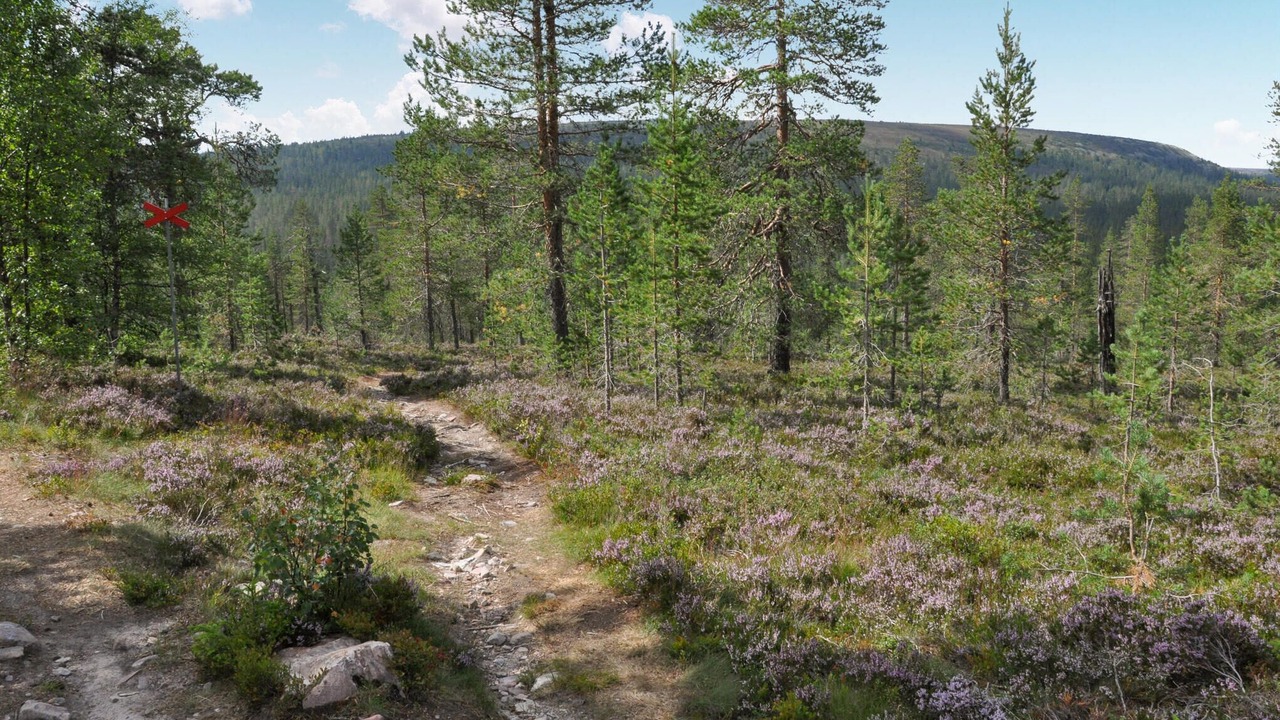 Photo of Others in Stoten