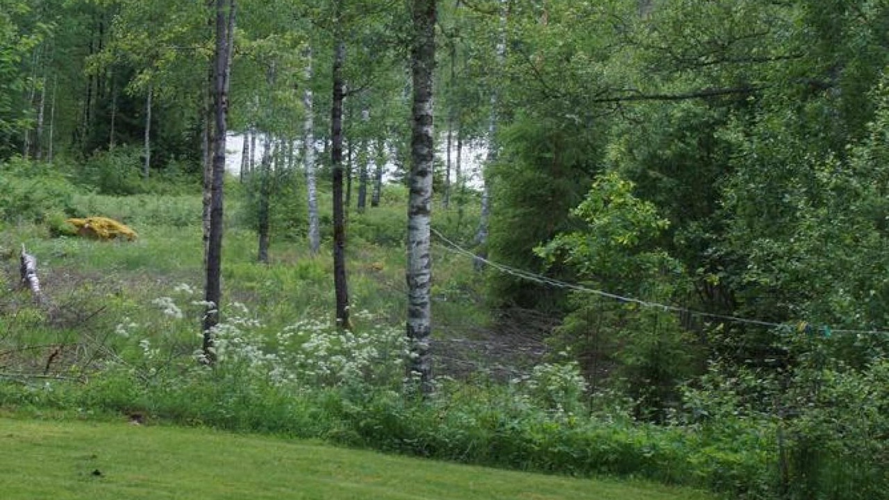 Photo of Outdoor in Sexdrega