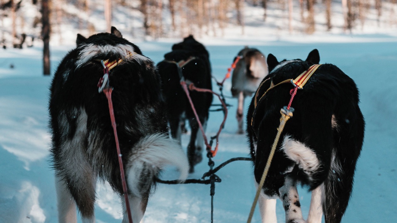 Photo of Others in Geilo