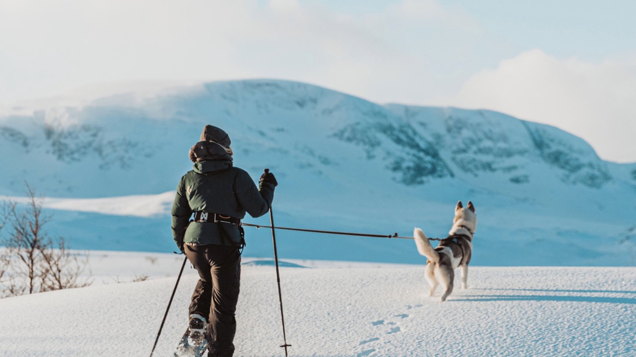 Photo of Others in Geilo