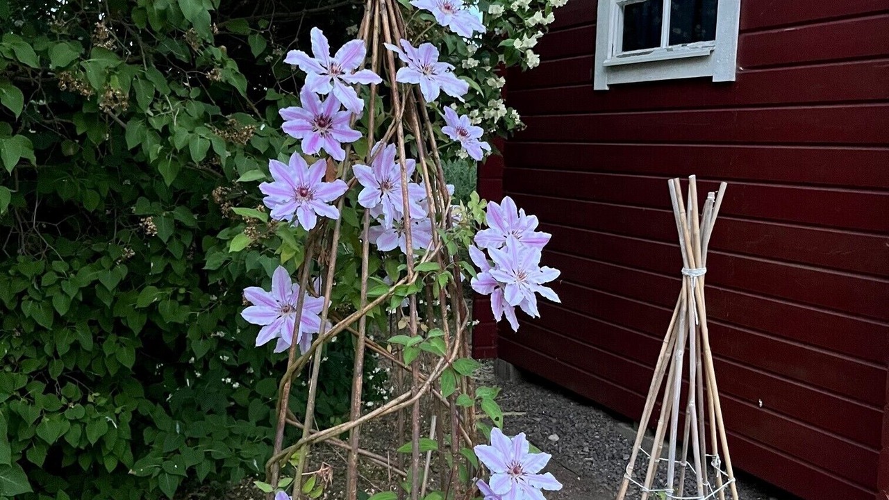 Photo of Outdoor in Storlinge
