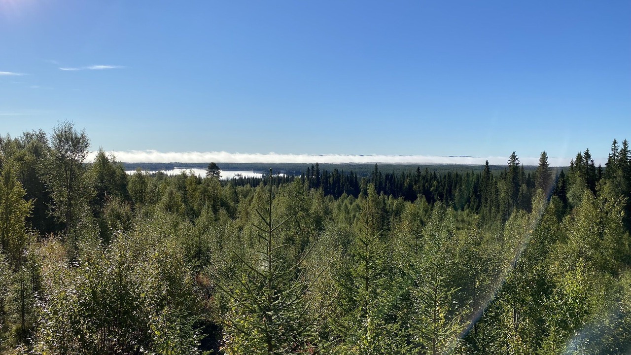 Photo of Outdoor in Storuman