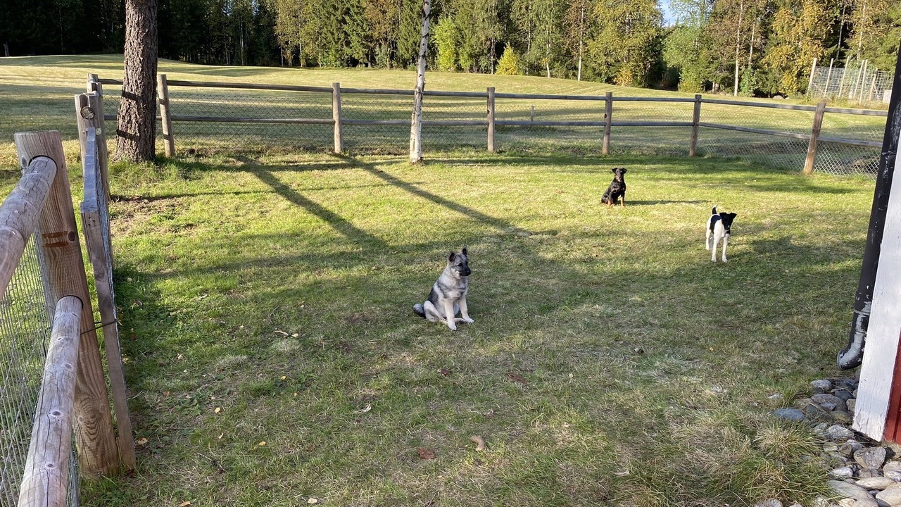 Photo of Outdoor in Storuman