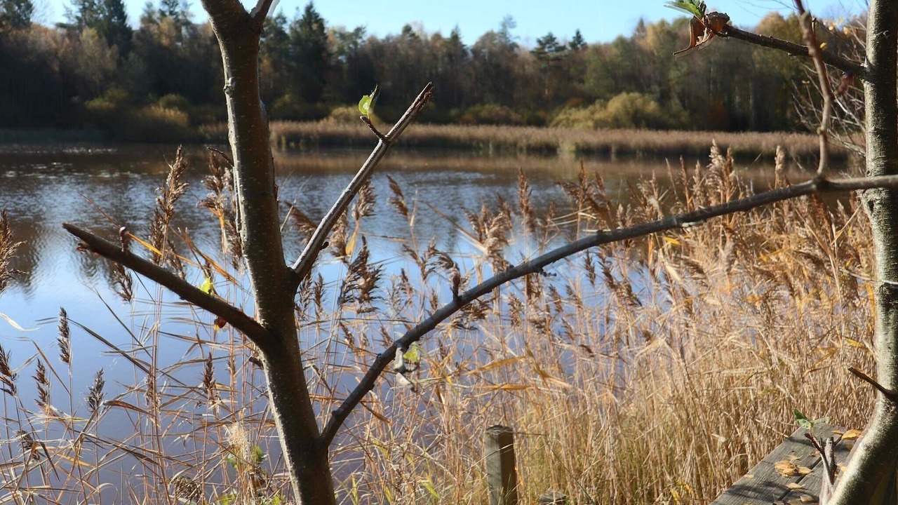 Photo of Outdoor in Skanes Fagerhult