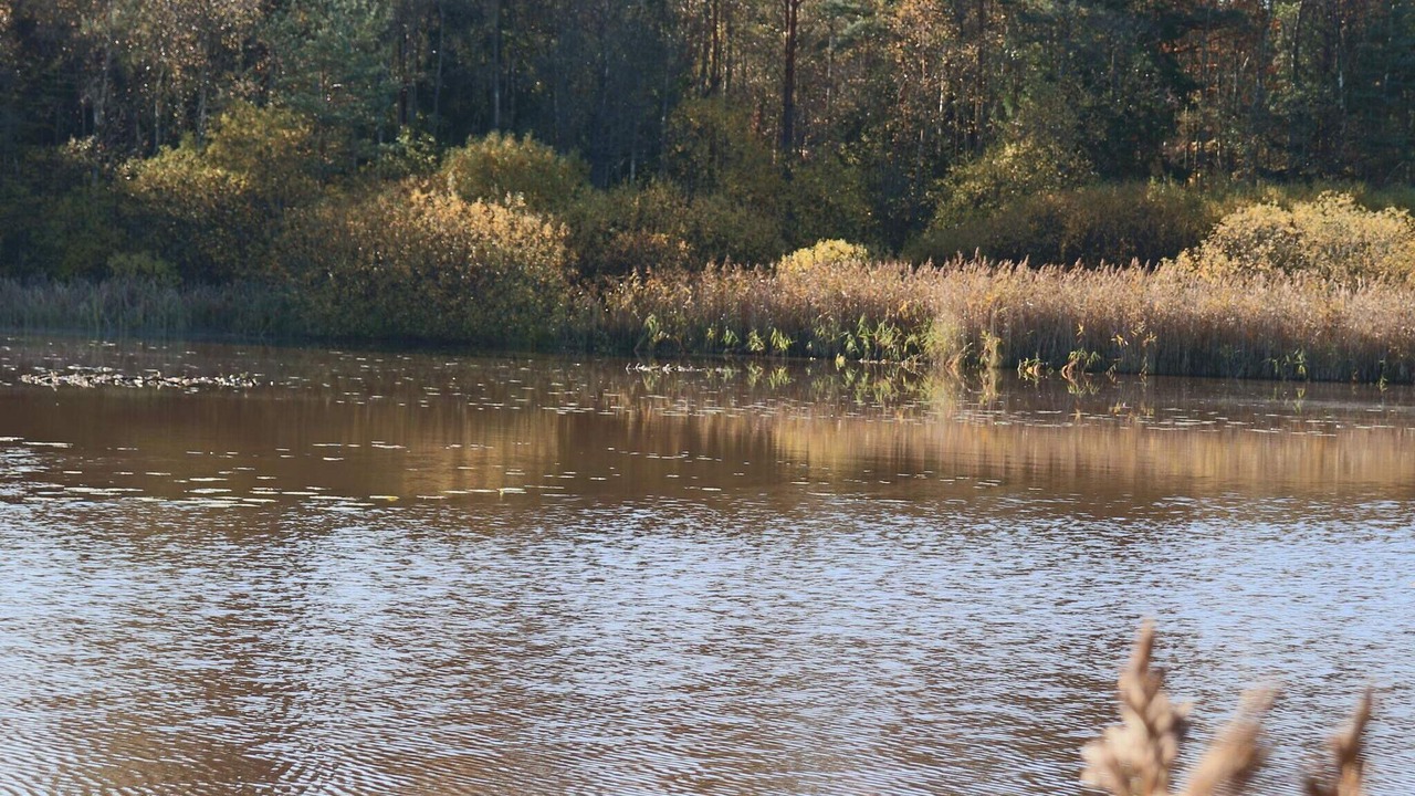 Photo of Outdoor in Skanes Fagerhult