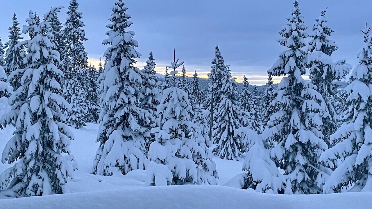 Photo of Others in Sjusjoen