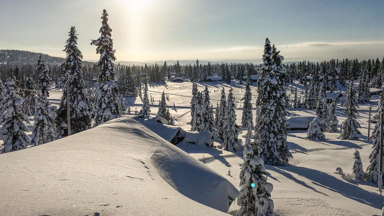 Photo of Others in Sjusjoen