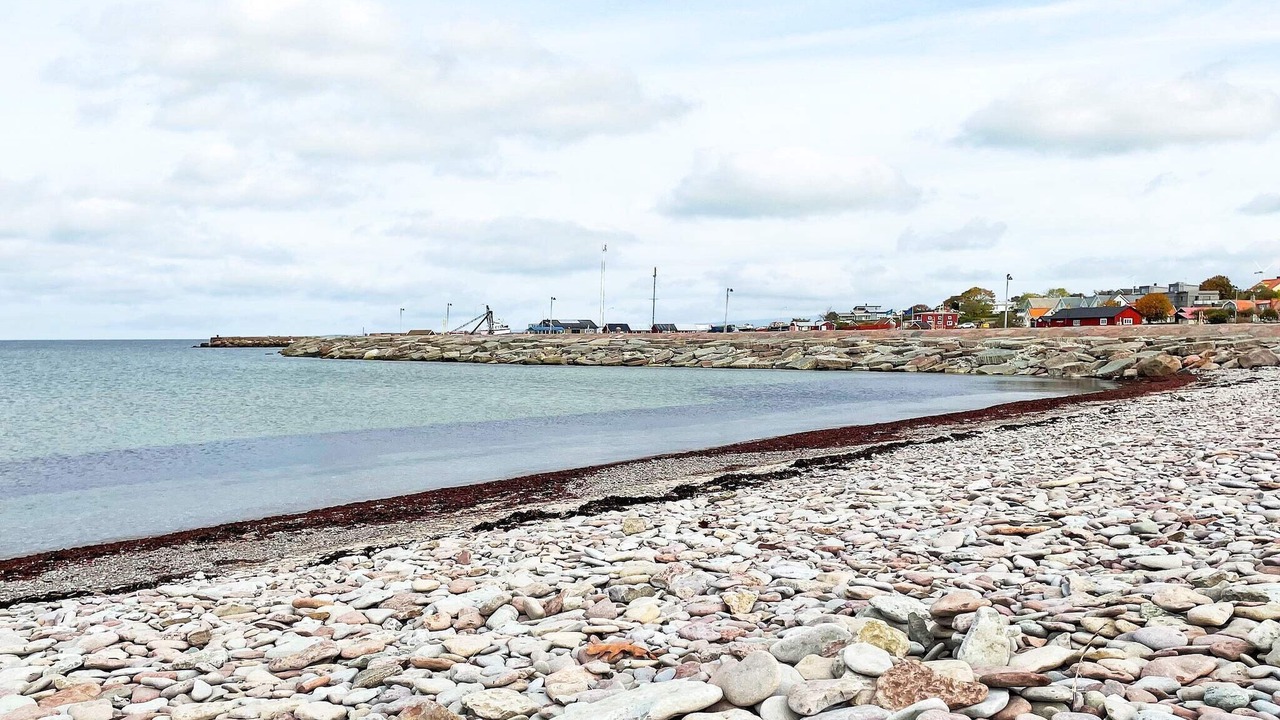 Photo of Others in Sodvik