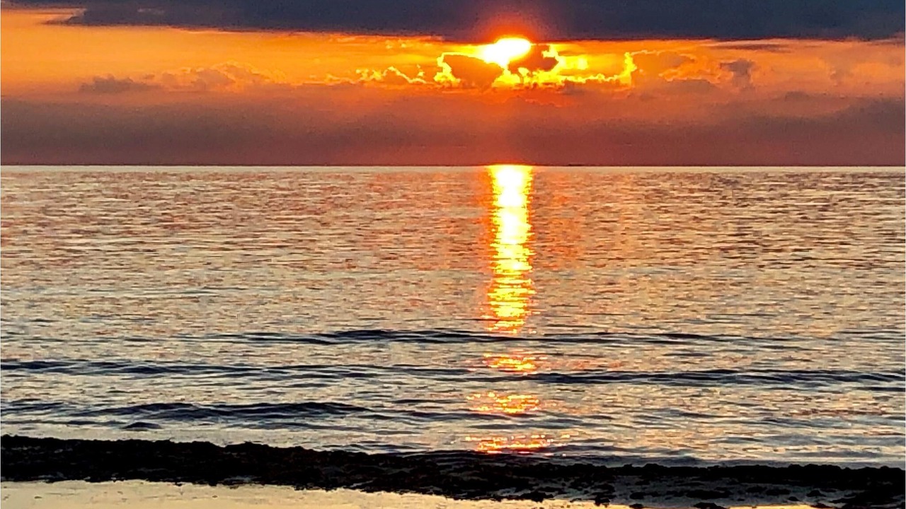 Photo of Others in Falkenberg
