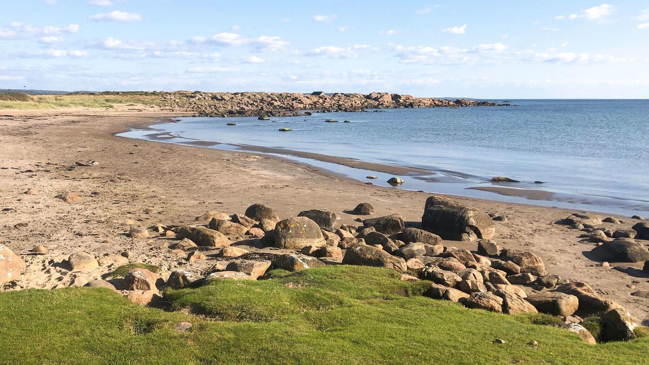 Photo of Others in Falkenberg