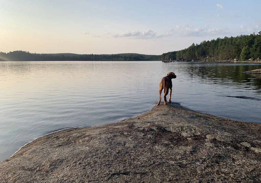 Photo of Others in Hultsfred Municipality