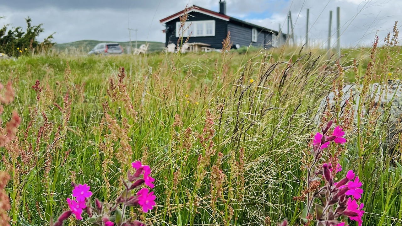 Photo of Outdoor in Hol Municipality