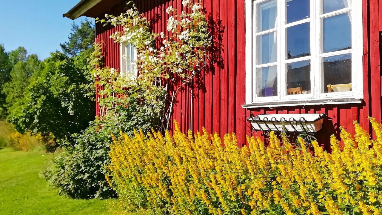 Photo of Outdoor in Koppom