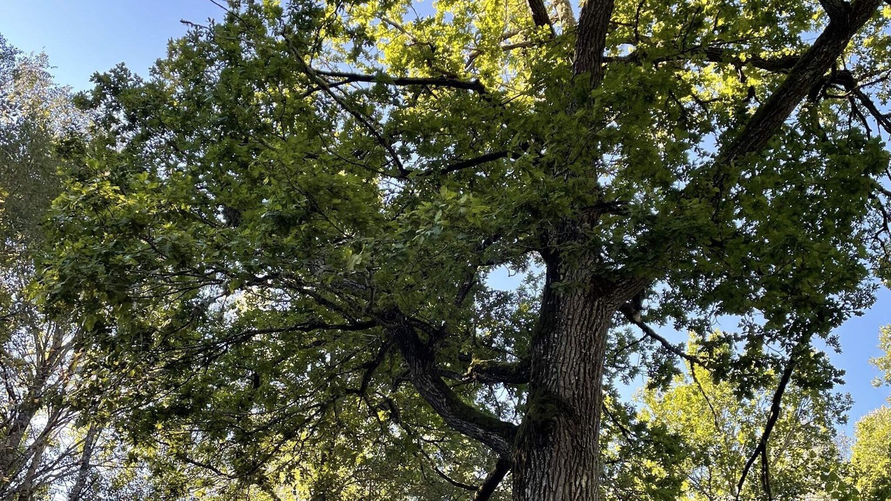 Photo of Outdoor in Hogsjo