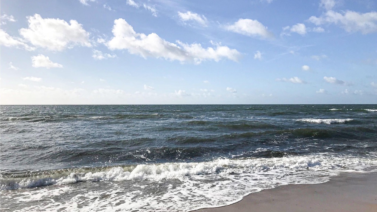 Photo of Others in Nybrostrand